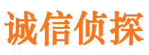 大安区捉小三公司